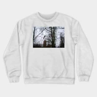 Latvia's flag ribbons hanging on tree Crewneck Sweatshirt